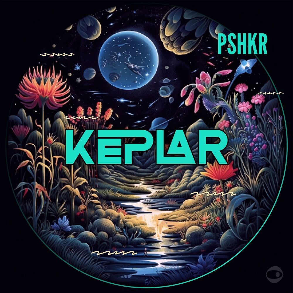 Picture of Keplar