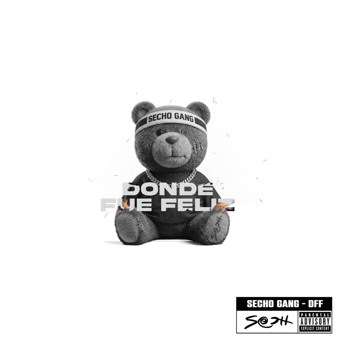 Album cover of DONDE FUE FELIZ