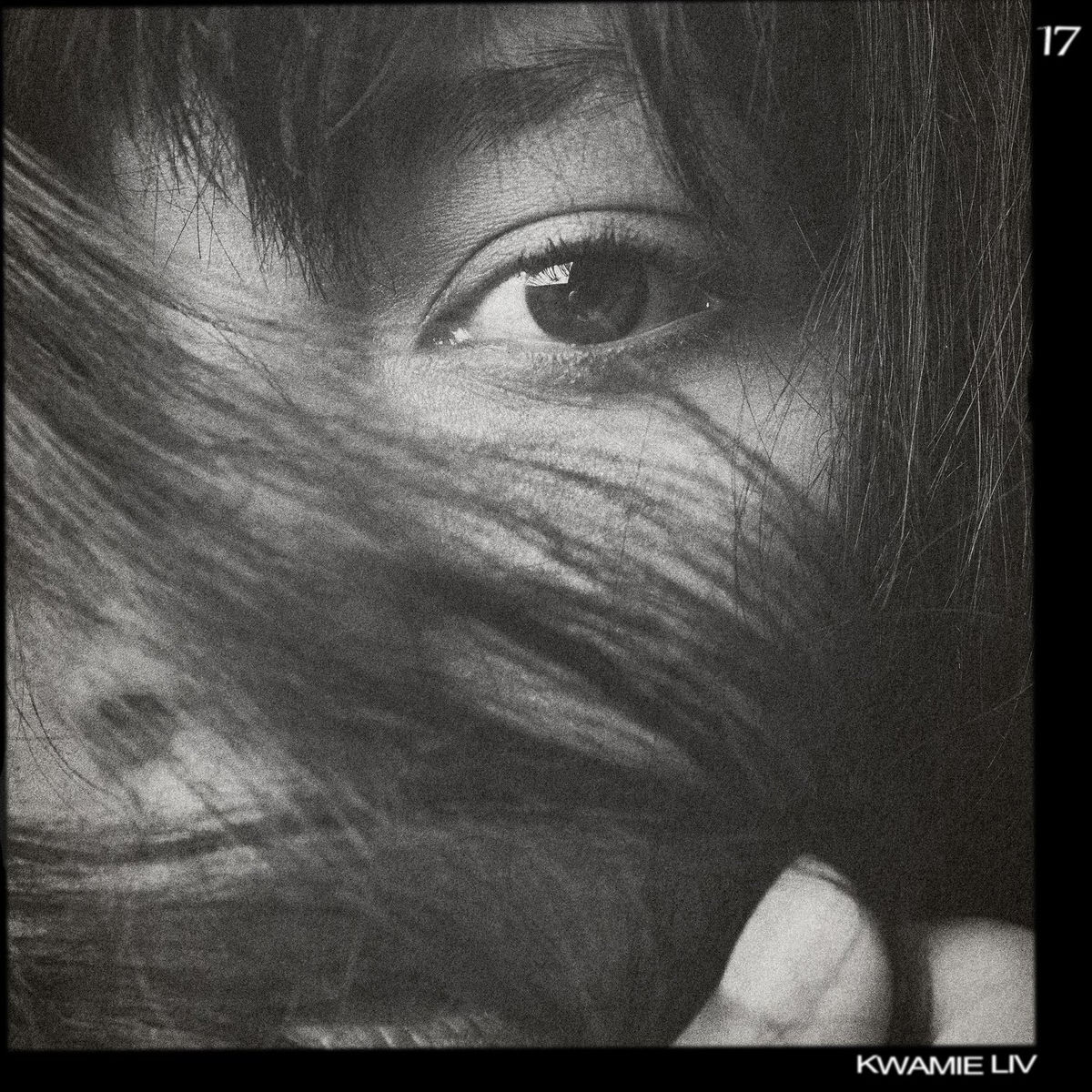 Album cover of 17