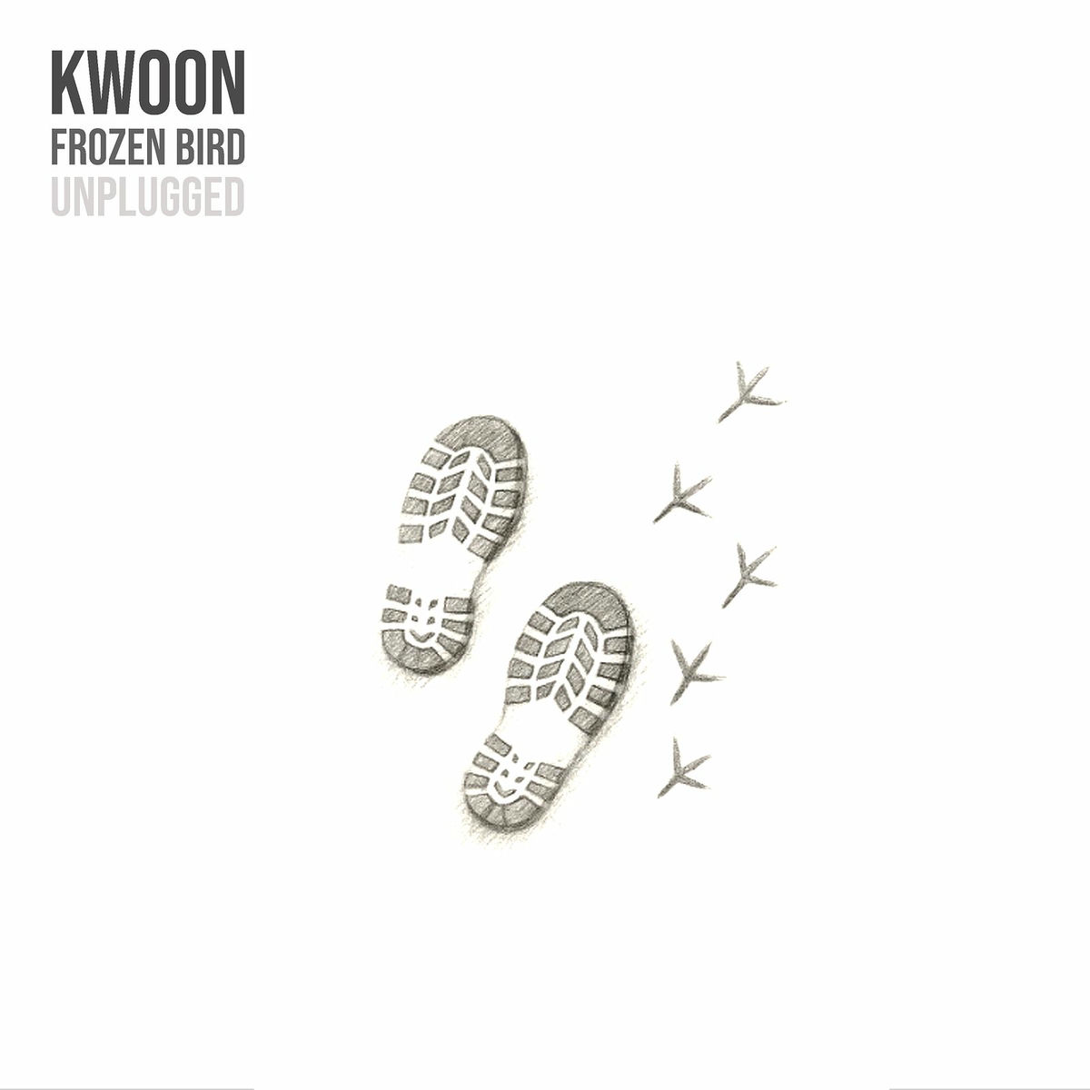 Album cover of Frozen Bird (Unplugged)