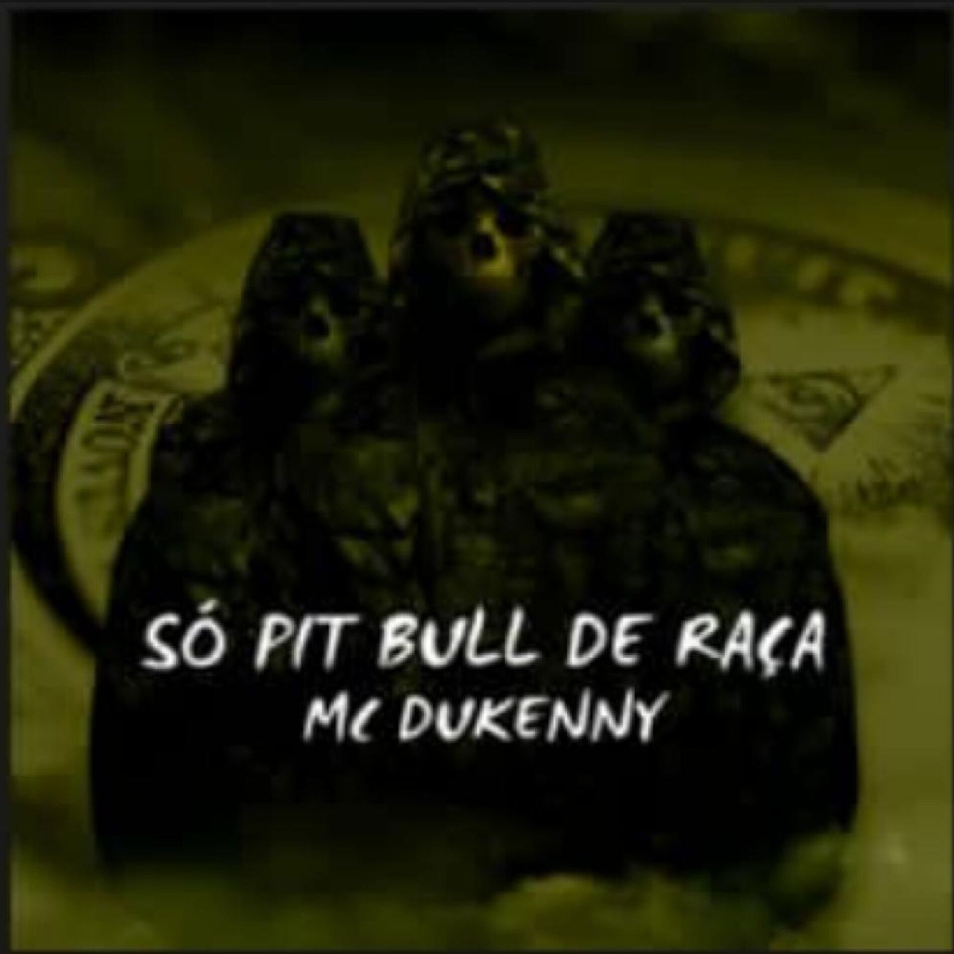 Album cover of Só Pit Bull De Raça