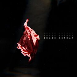 Cover of Shade Astray
