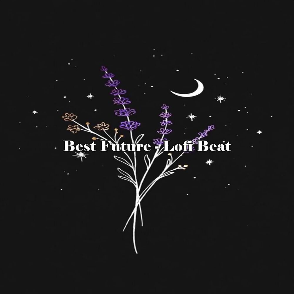 Picture of Best Future - Lofi Beat
