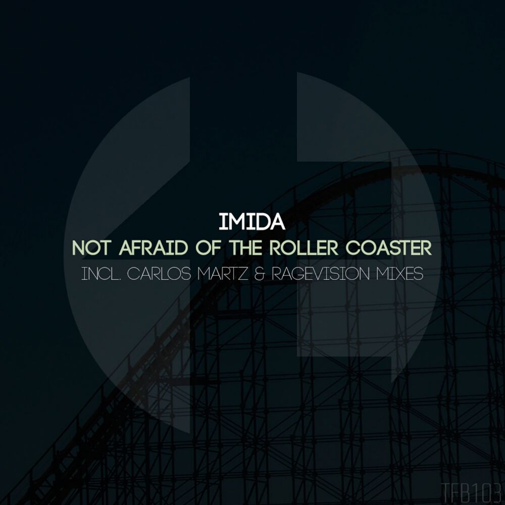 Picture of Not Afraid of The Roller Coaster