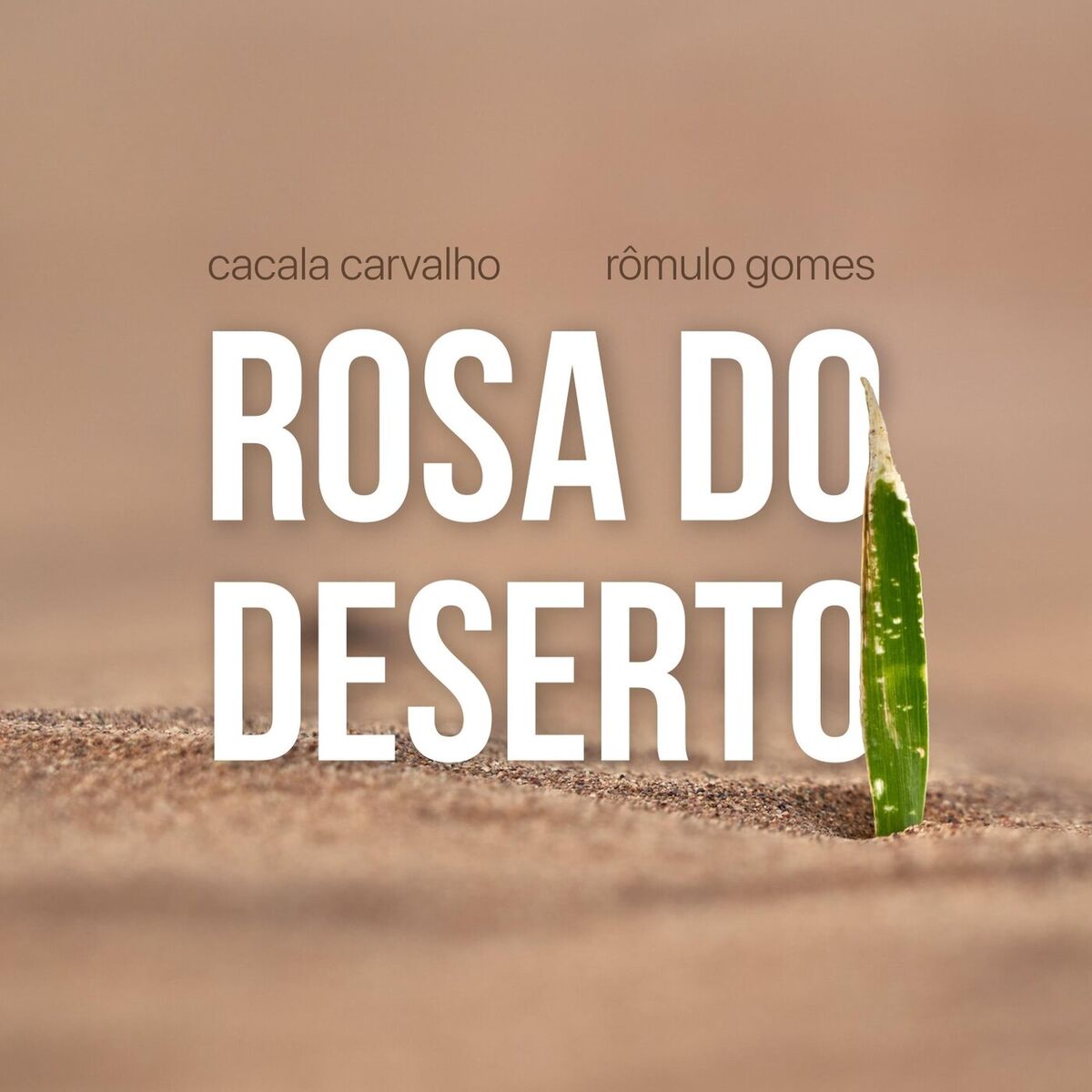 Album cover of Rosa do Deserto