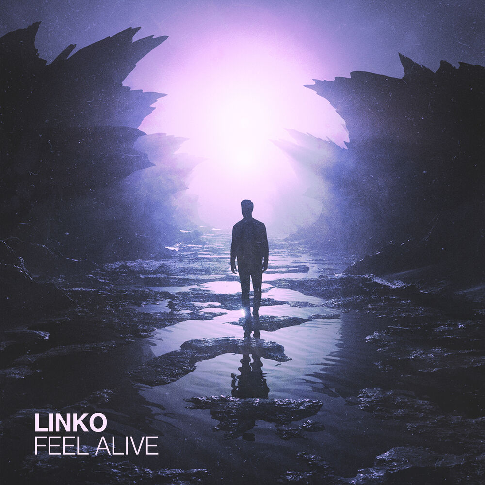 Picture of Feel Alive