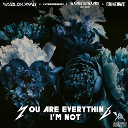Cover of You Are Everything I'm Not