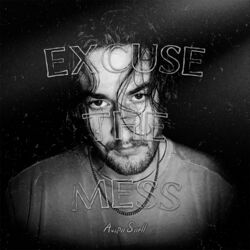 Cover of Excuse The Mess