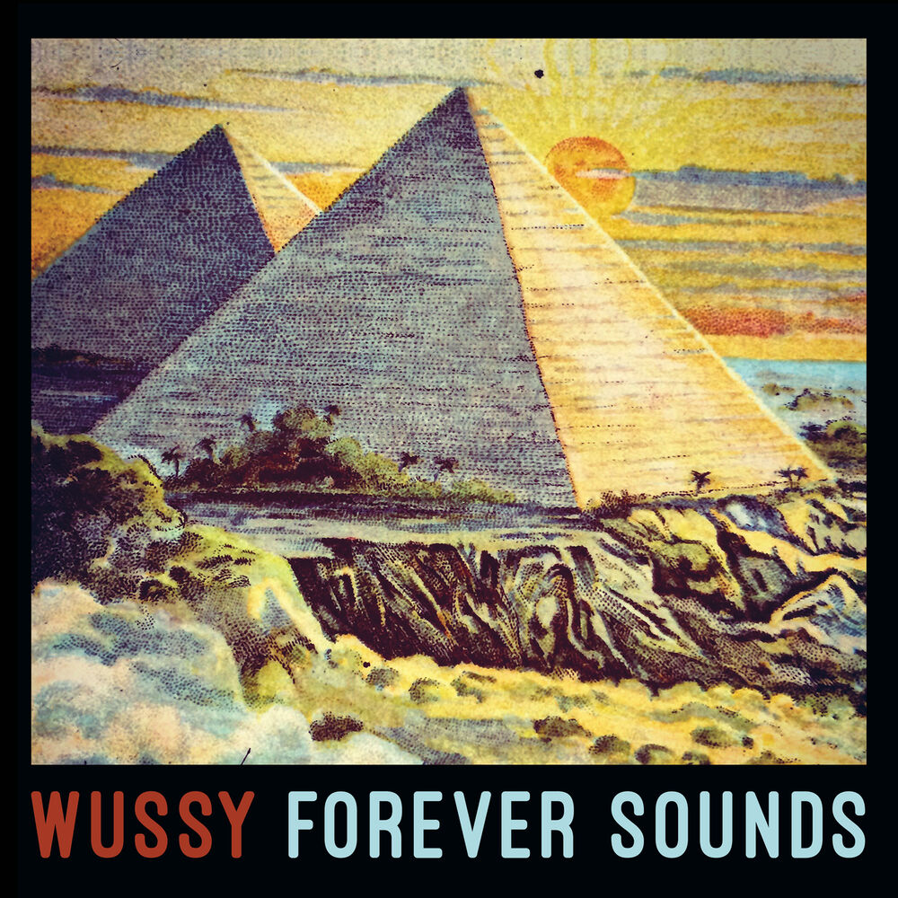Picture of Forever Sounds