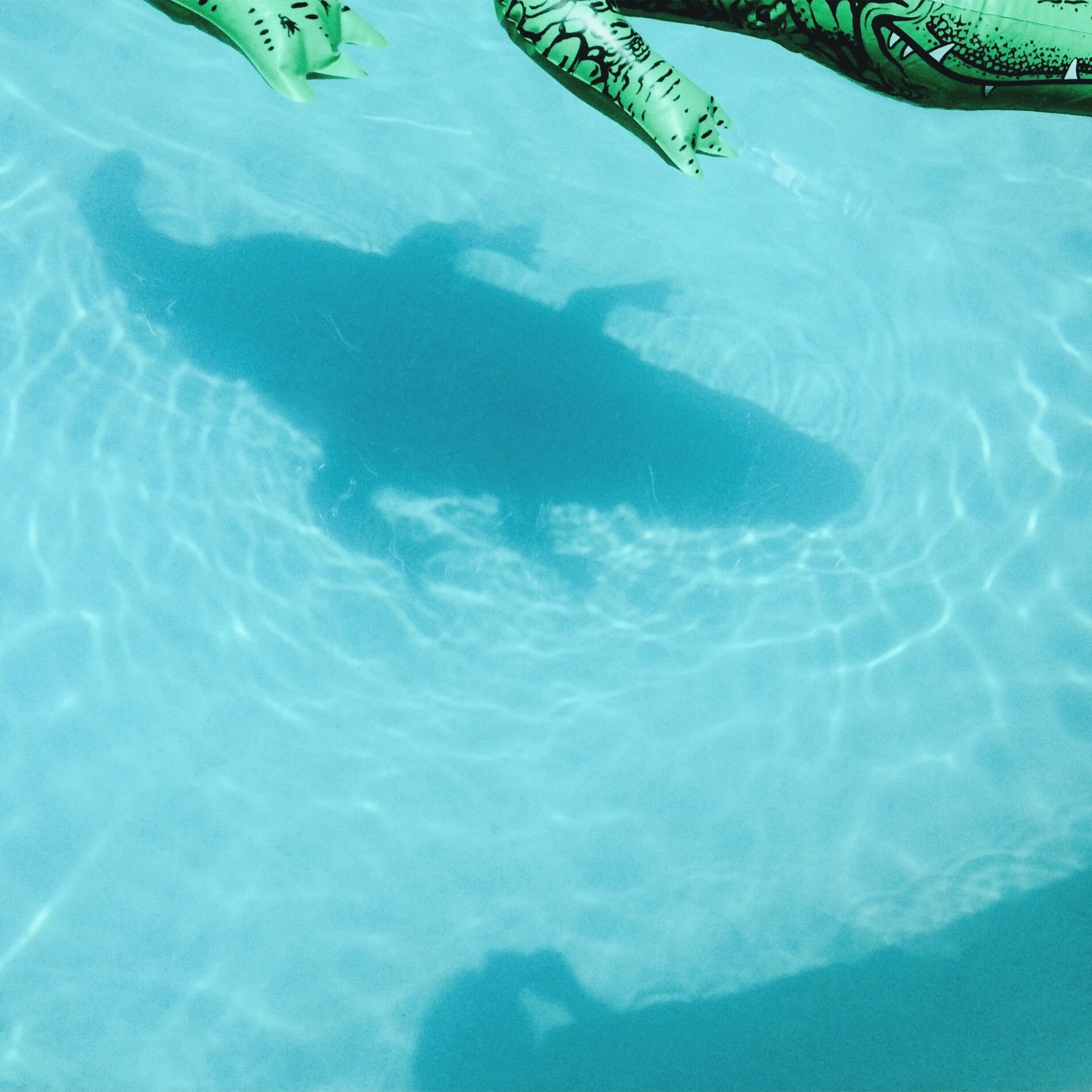 Album cover of The Official Body