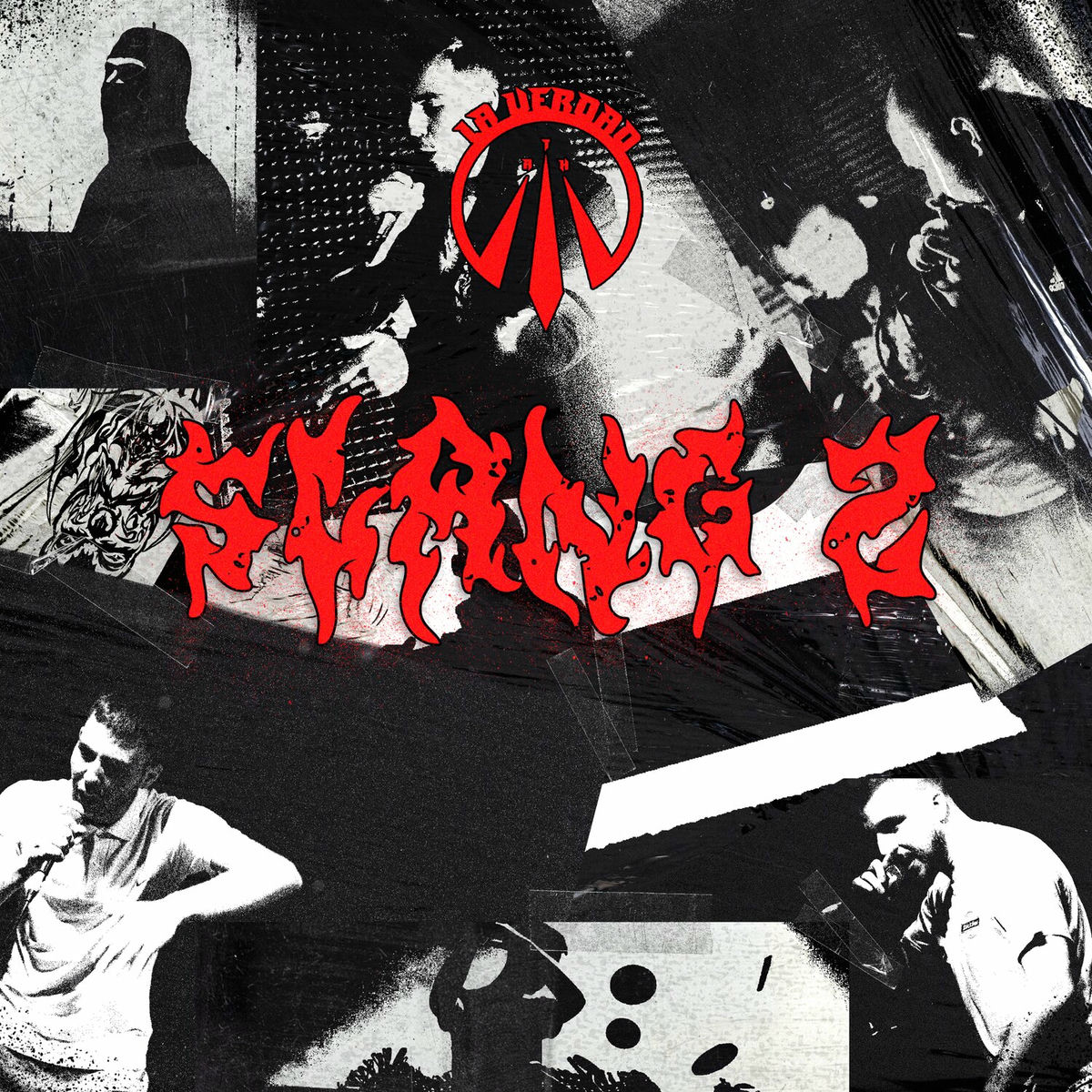 Album cover of SLANG II