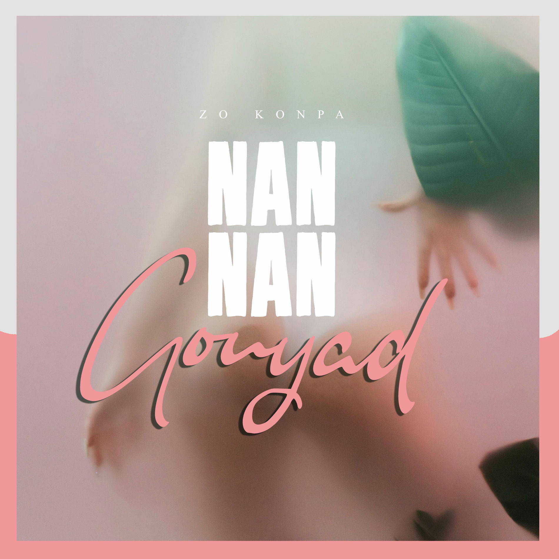Album cover of Nan Nan Gouyad