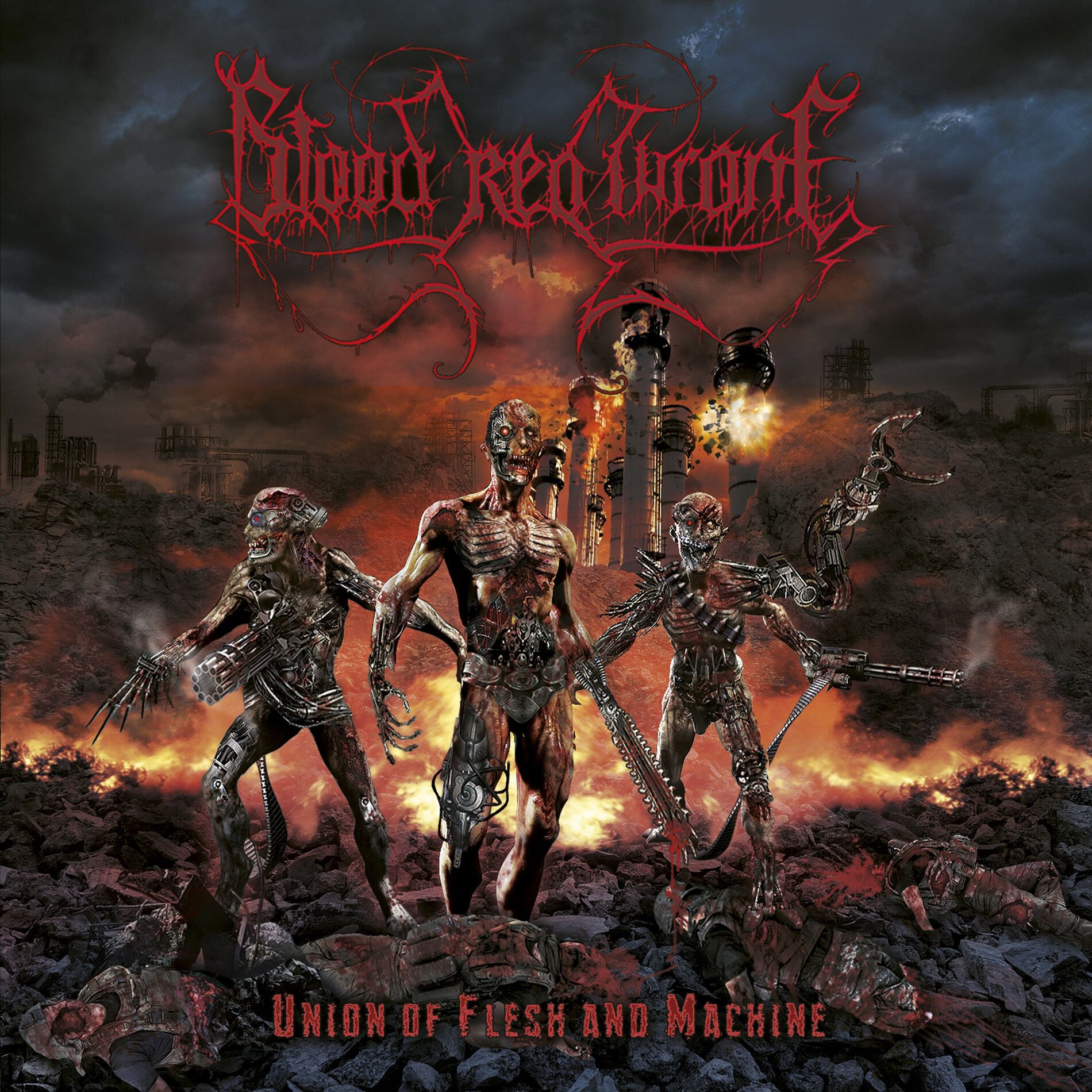 Album cover of Union Of Flesh And Machine