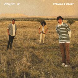 Cover of Evergreen