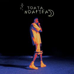 Cover of Toata Noaptea
