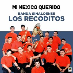 Cover of Mi Mexico Querido