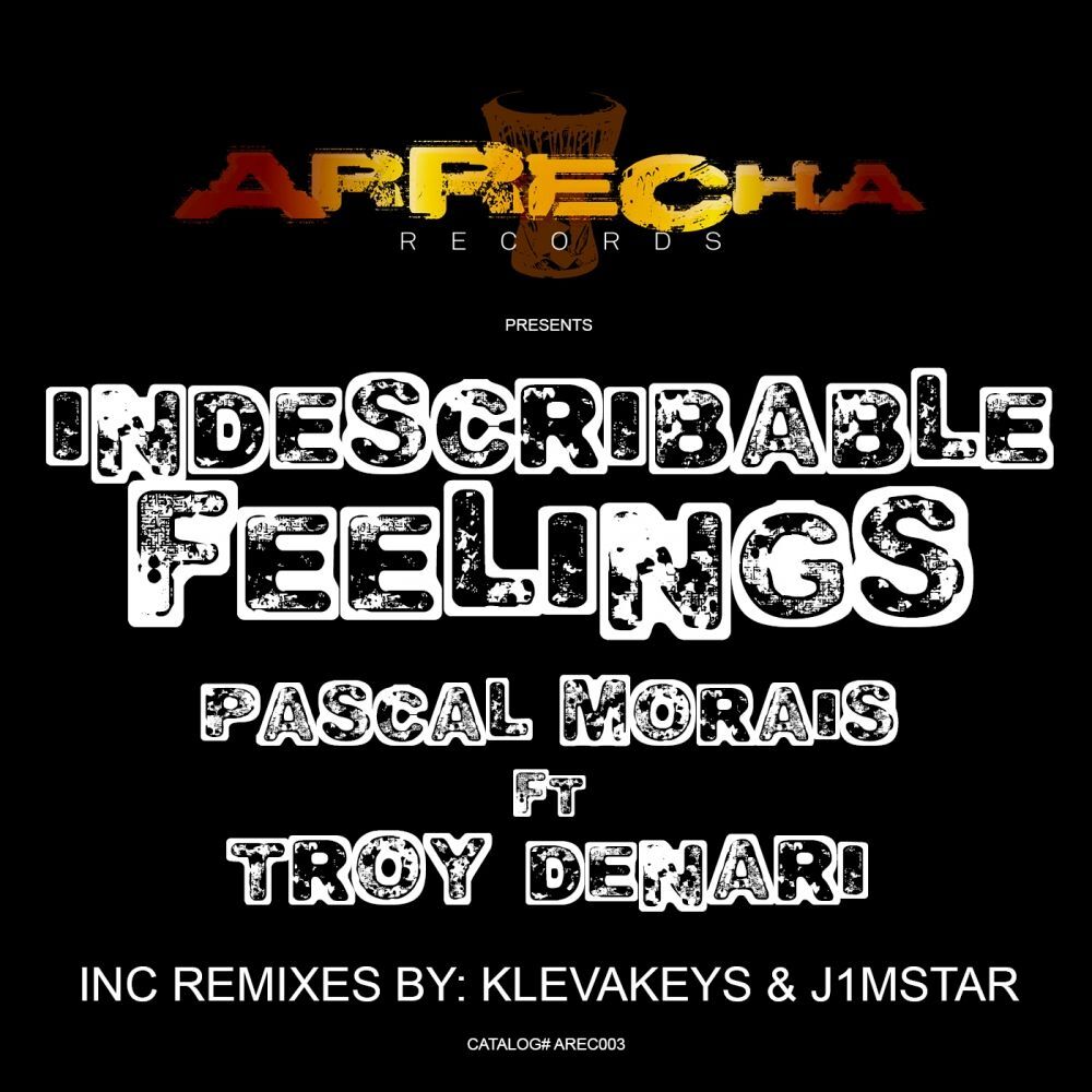 Picture of Indescribable Feelings