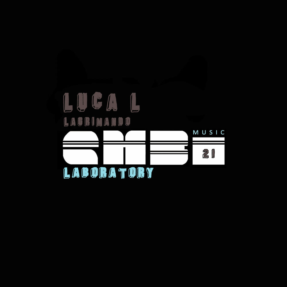 Picture of Lagrimando
