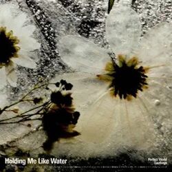 Cover of Holding Me Like Water