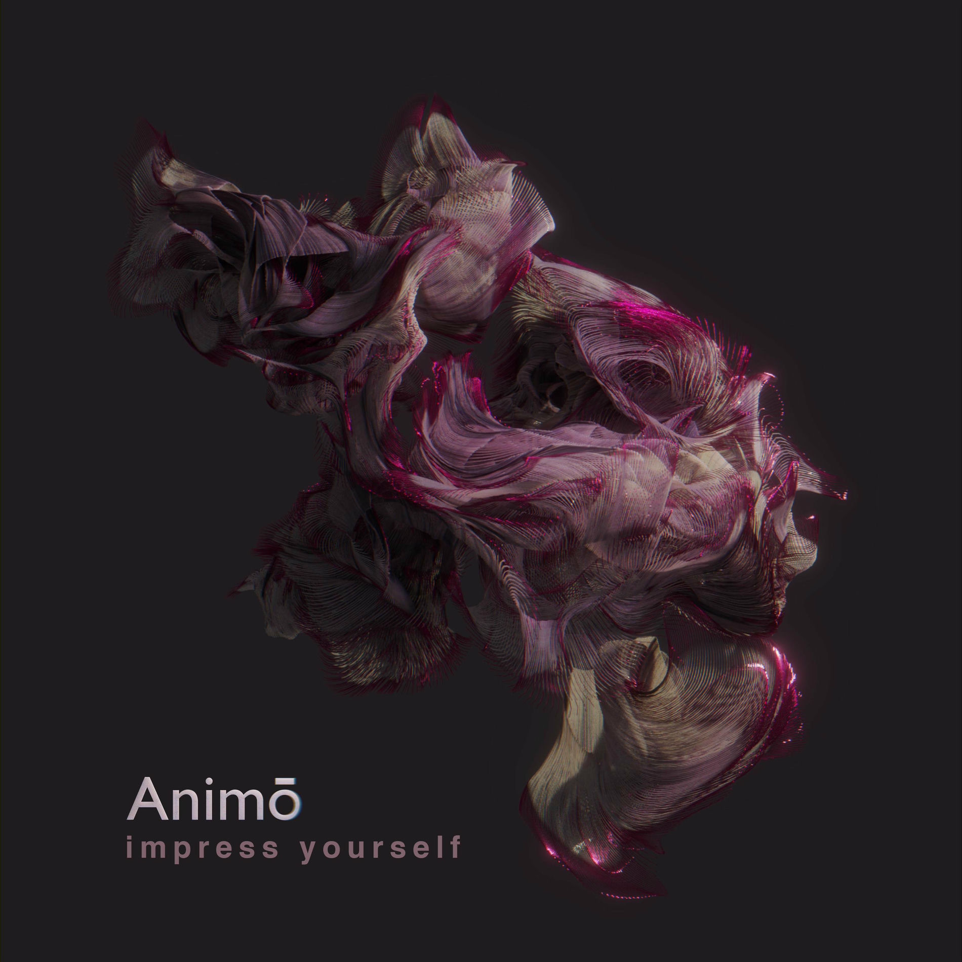 Album cover of impress yourself