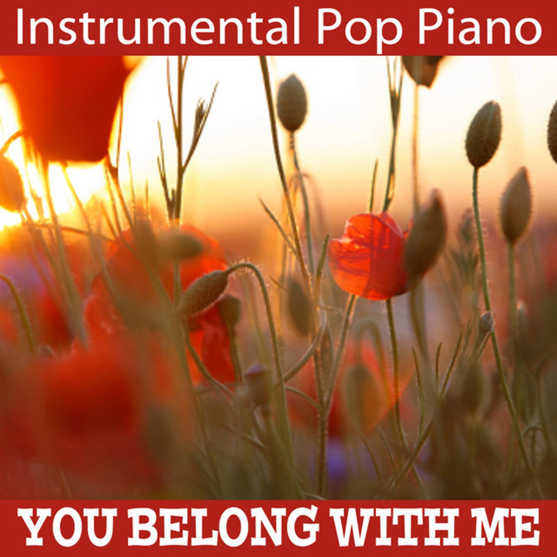 Album cover of Instrumental Pop Piano: You Belong with Me