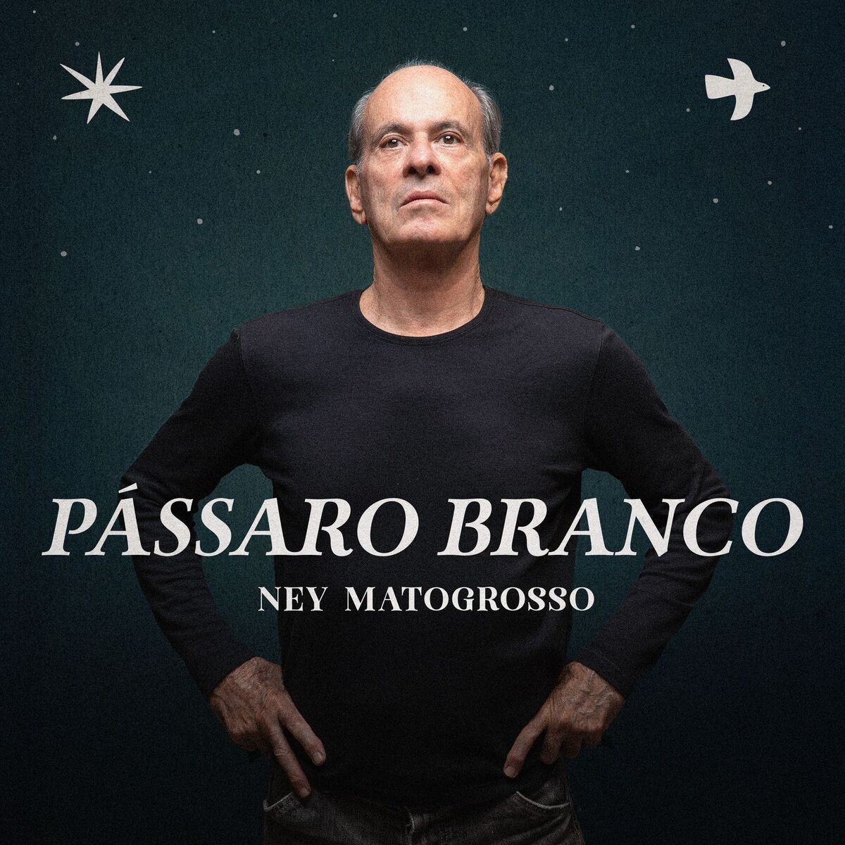 Album cover of Pássaro Branco