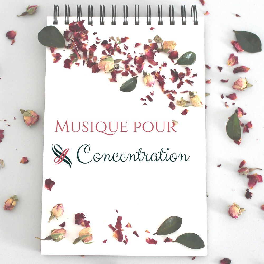 Picture of Musique pour Concentration - Augmenter la mémoire avec sons de la nature