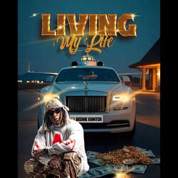 Cover of Living My life