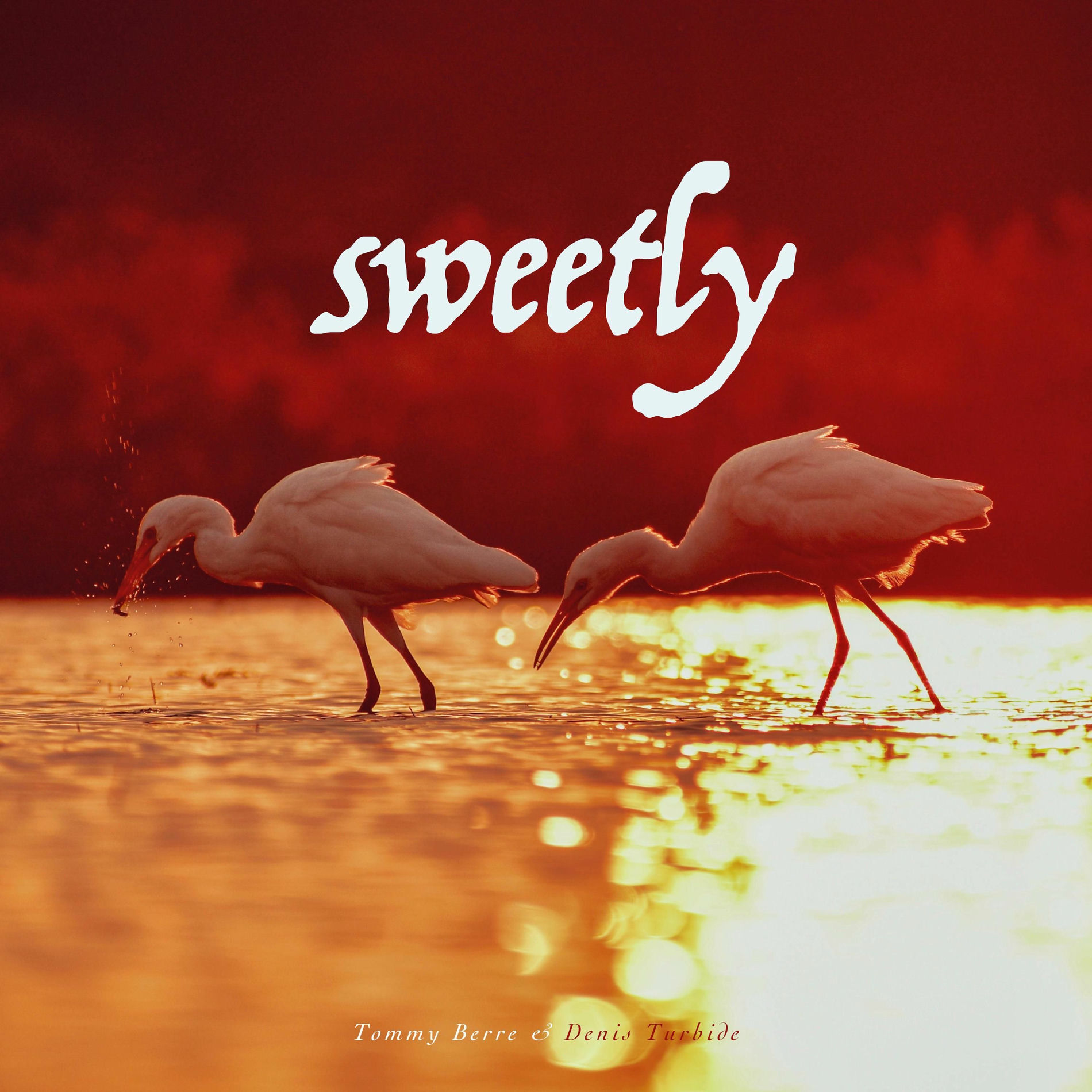 Album cover of Sweetly