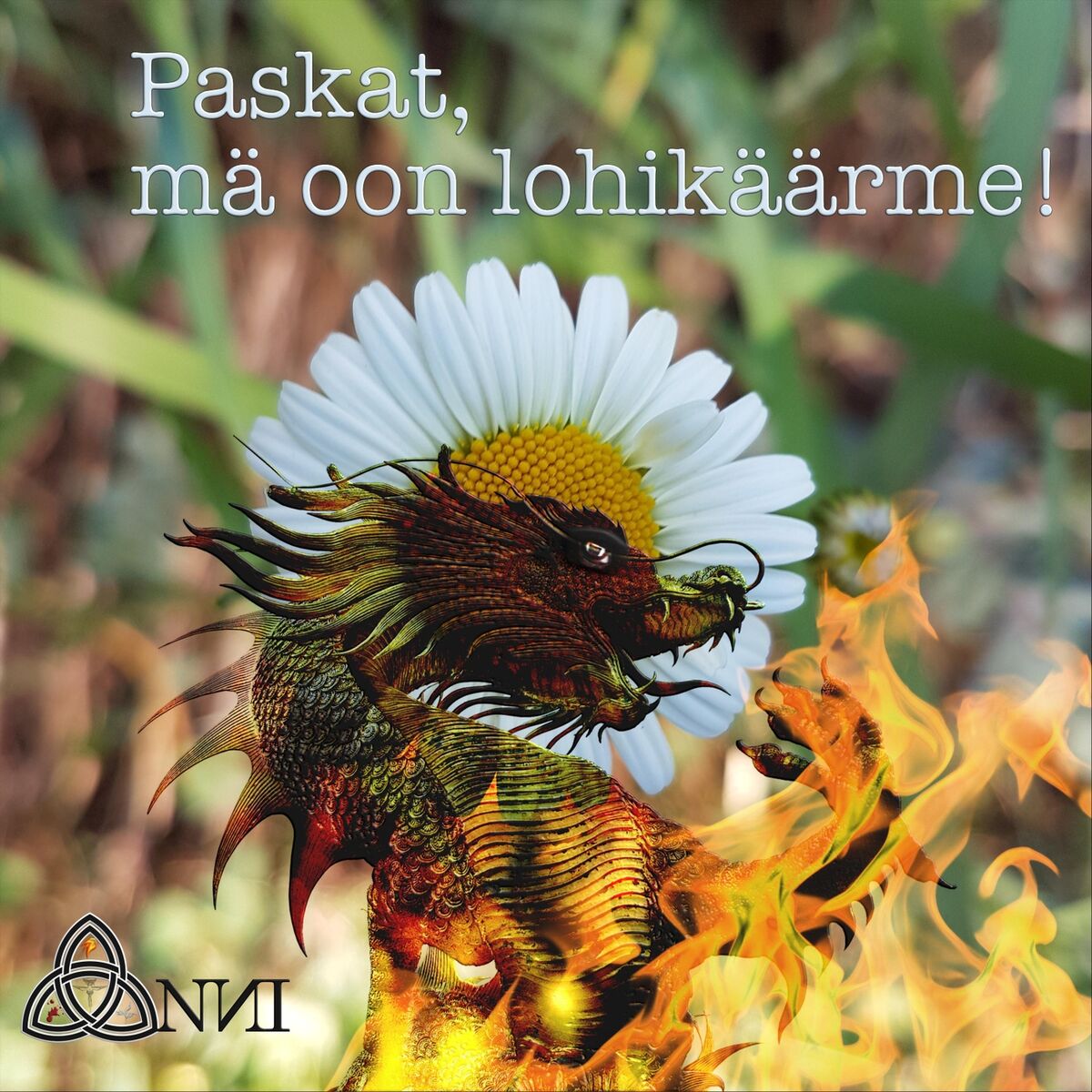Album cover of Paskat, mä oon lohikäärme!