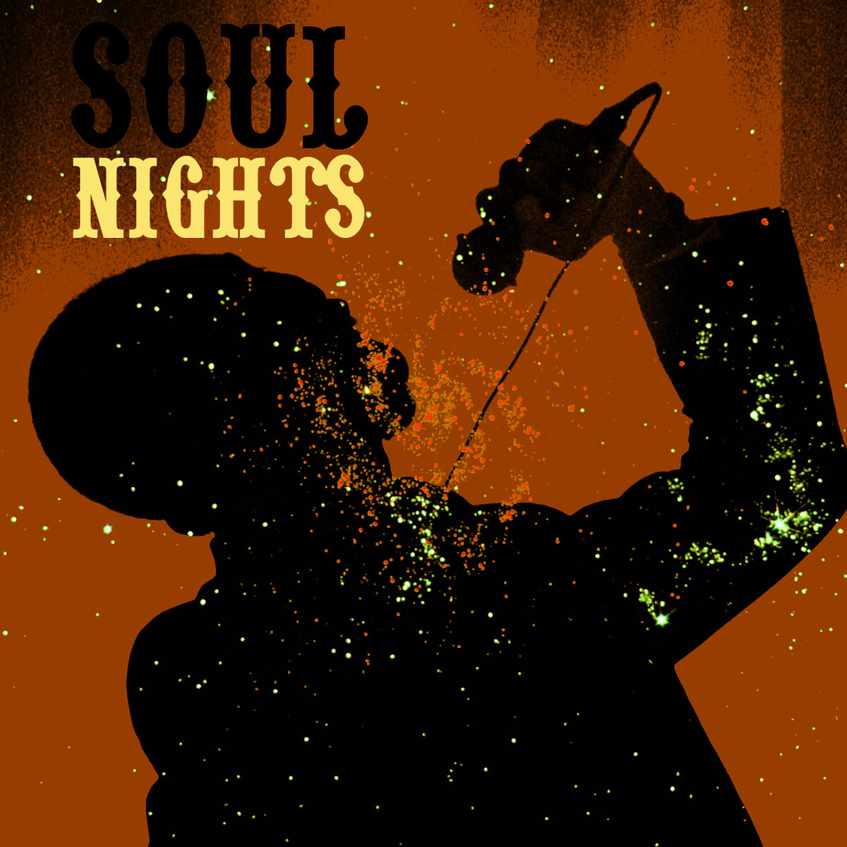Album cover of Soul Nights