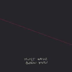 Cover of Must Have Been New