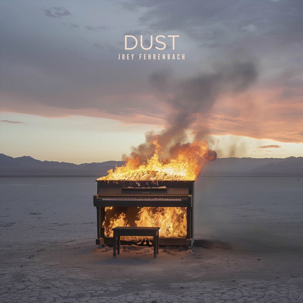 Album cover of Dust