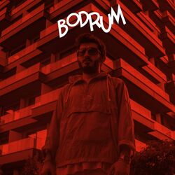 music cover