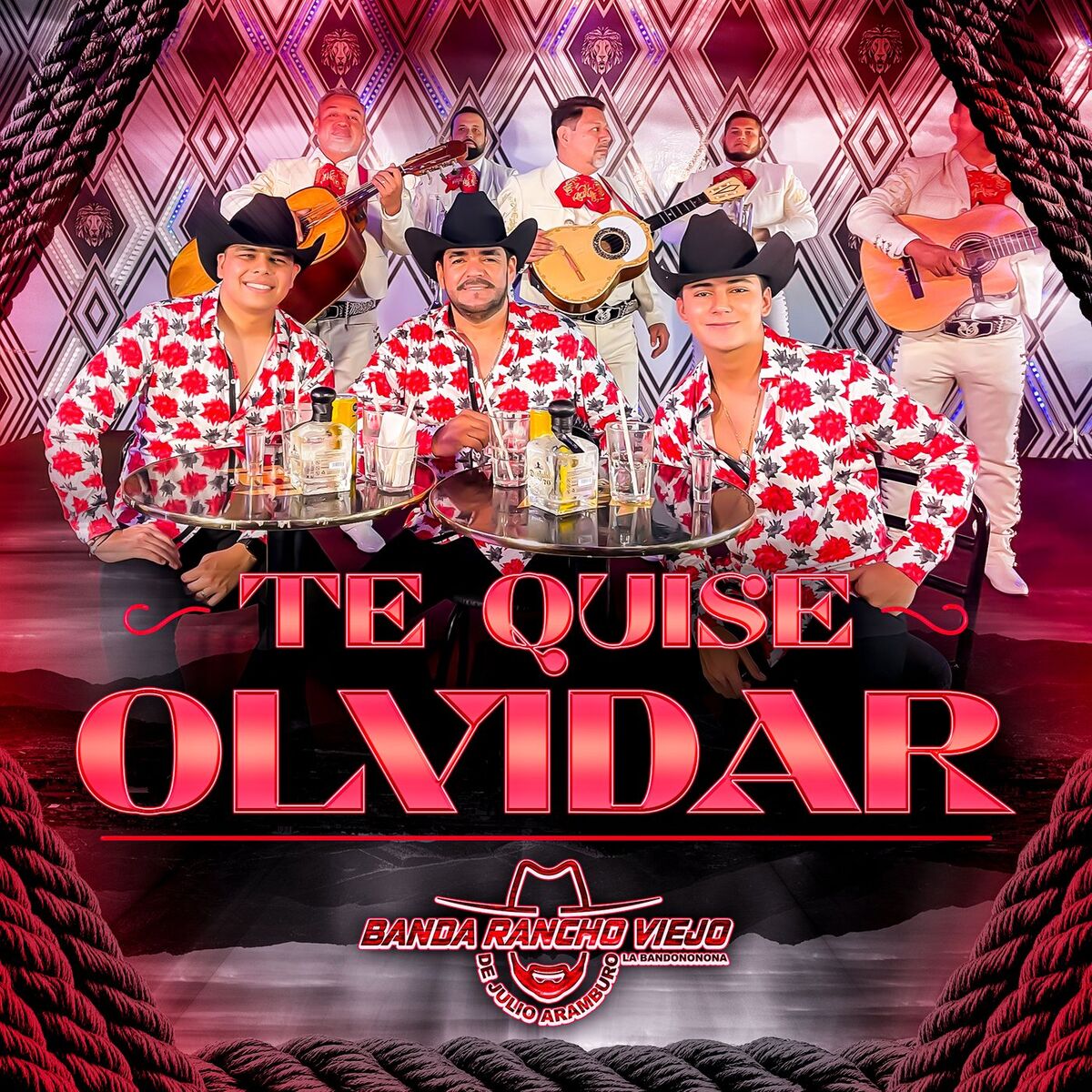 Album cover of Te Quise Olvidar