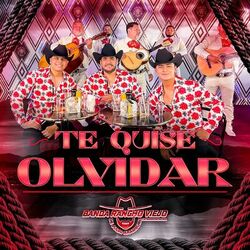 Cover of Te Quise Olvidar