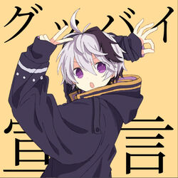 music cover