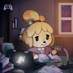Cover of 7 PM (Animal Crossing)