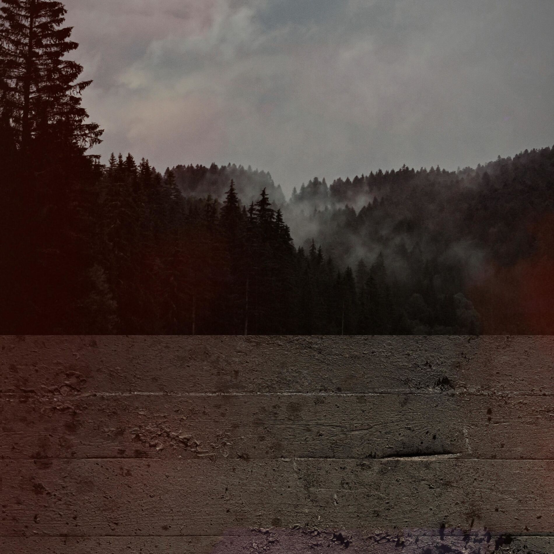 Album cover of Isadora