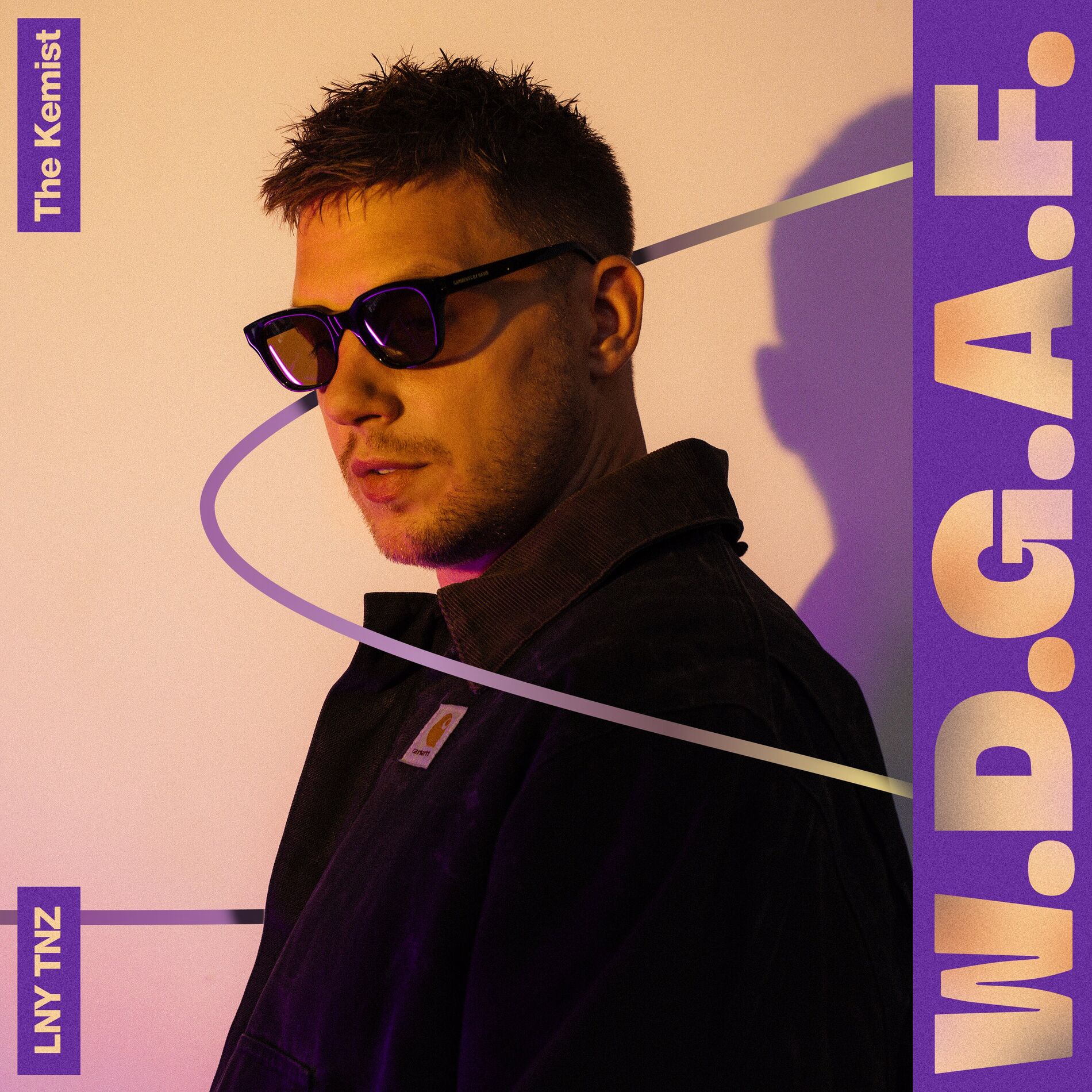 Album cover of W.D.G.A.F.