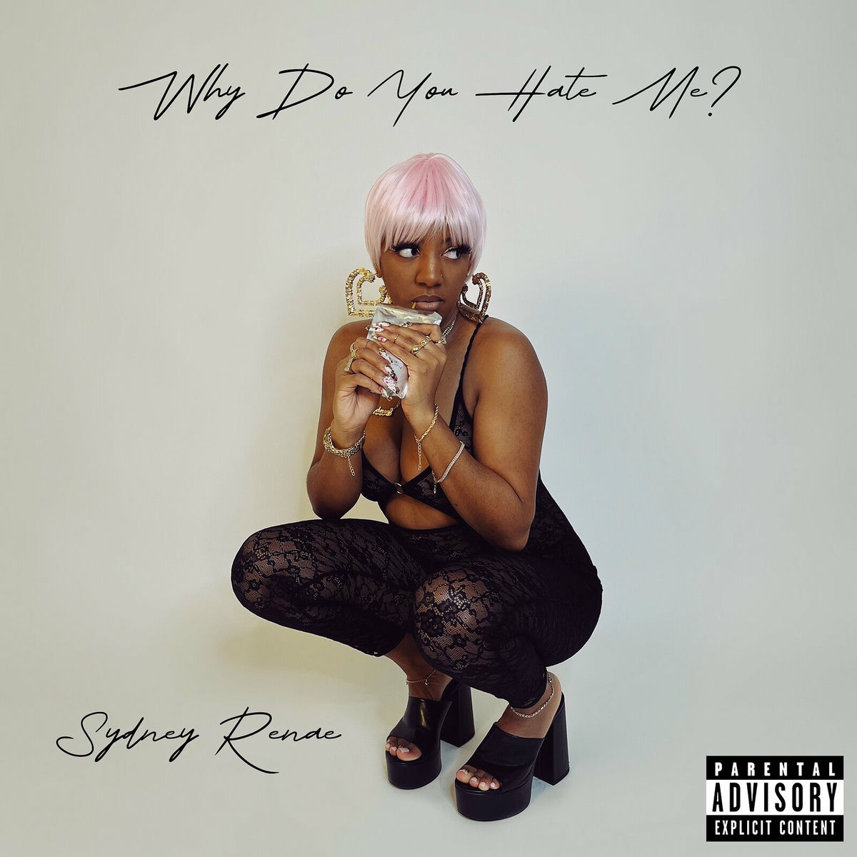Album cover of Why Do You Hate Me?