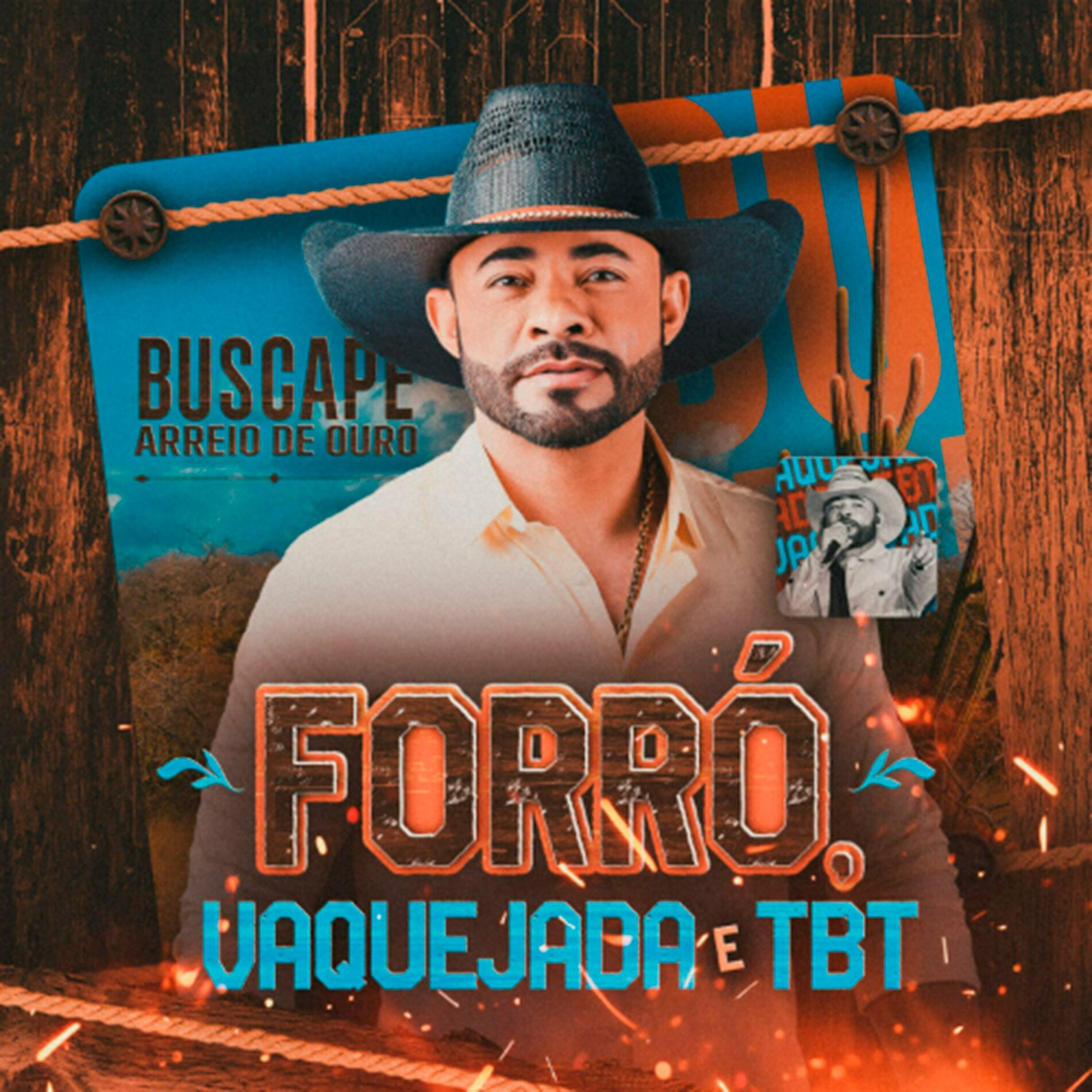 Album cover of Forró, Vaquejada e Tbt