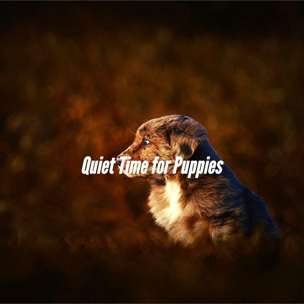 Picture of Quiet Time for Puppies