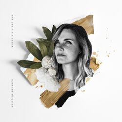 Cover of Where His Light Was