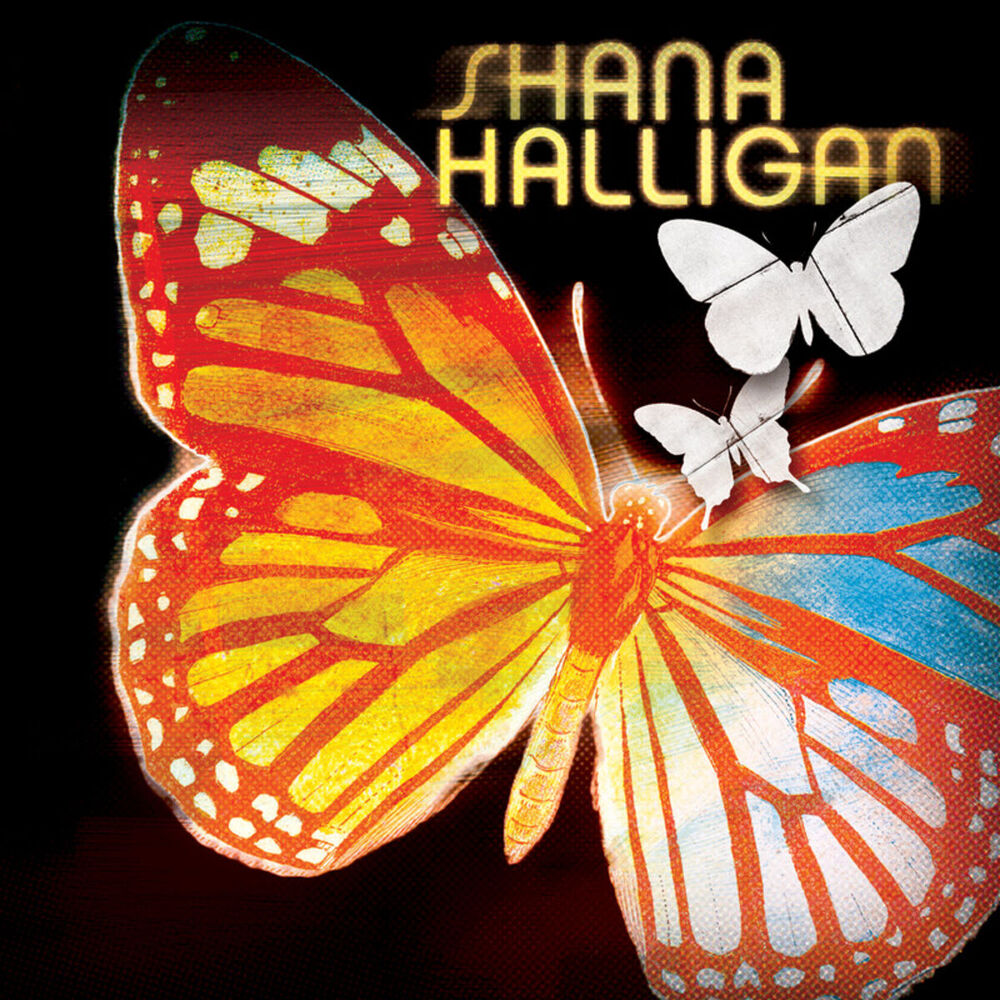 Picture of Paper Butterfly