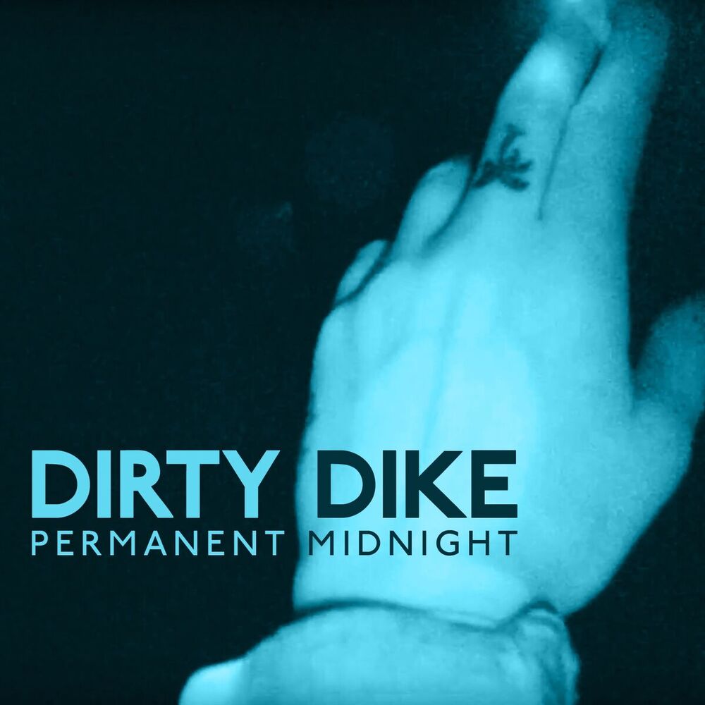 Picture of Permanent Midnight