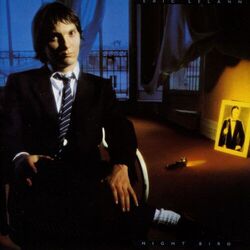 Cover of Night Bird