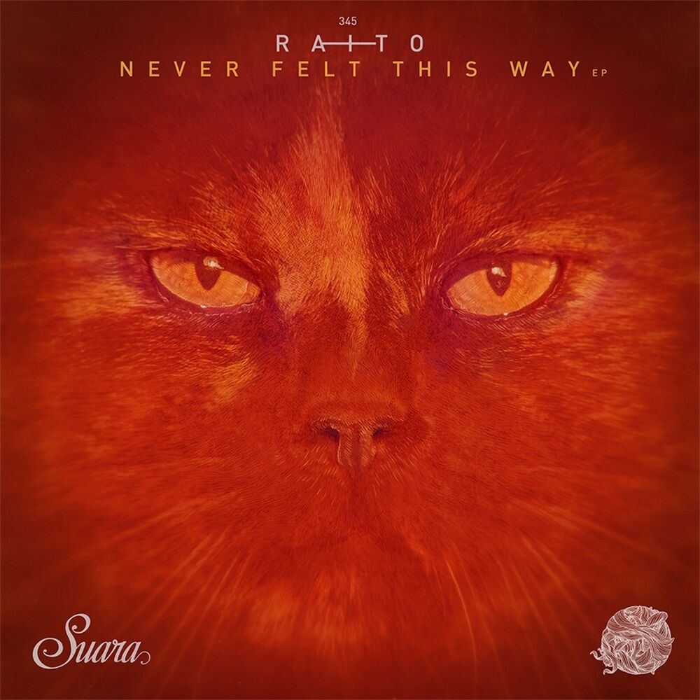 Picture of Never Felt This Way