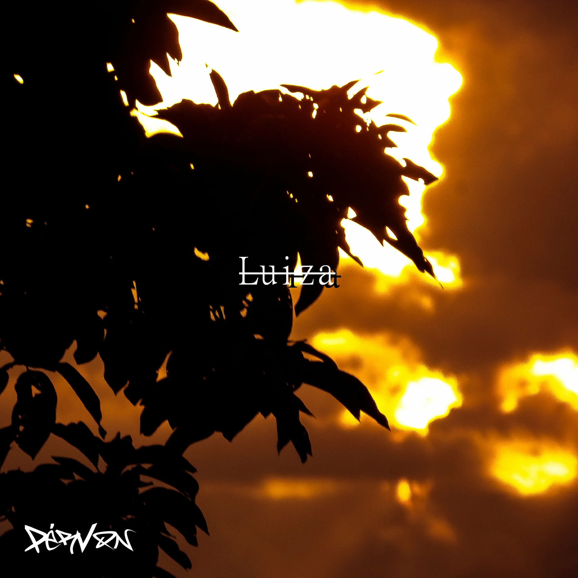 Album cover of Luiza