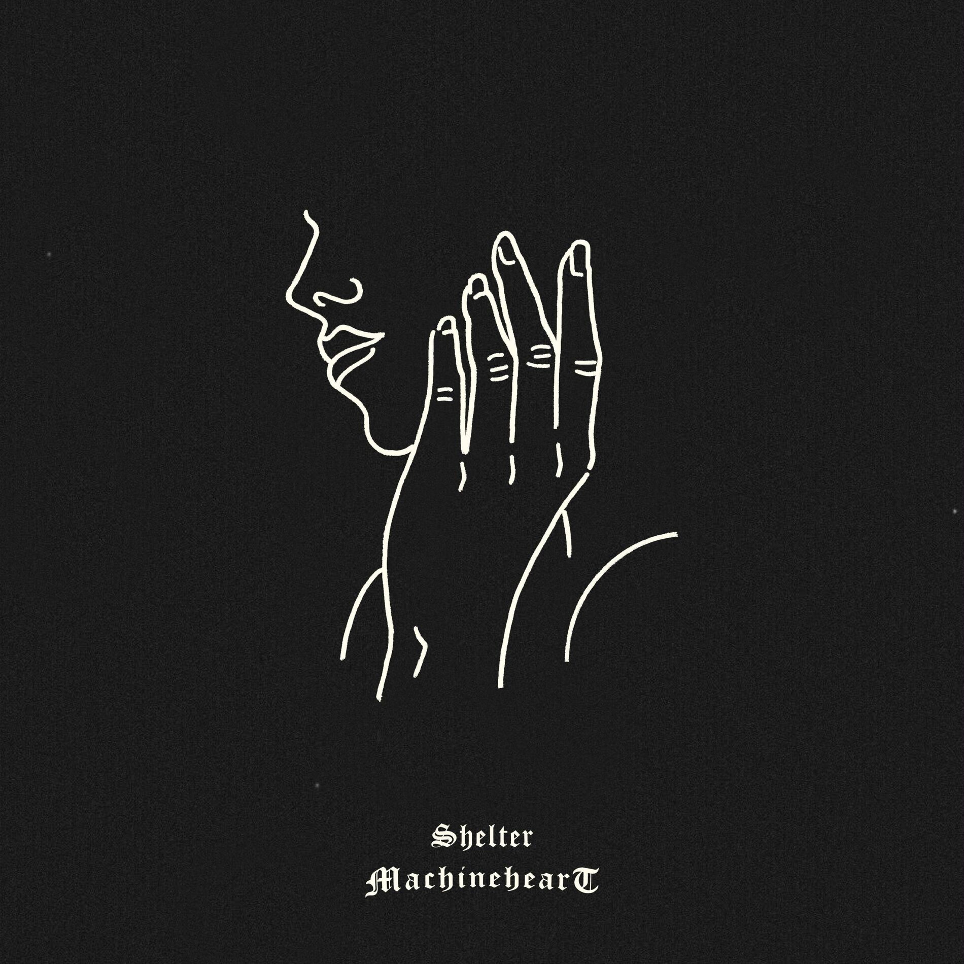 Album cover of Shelter